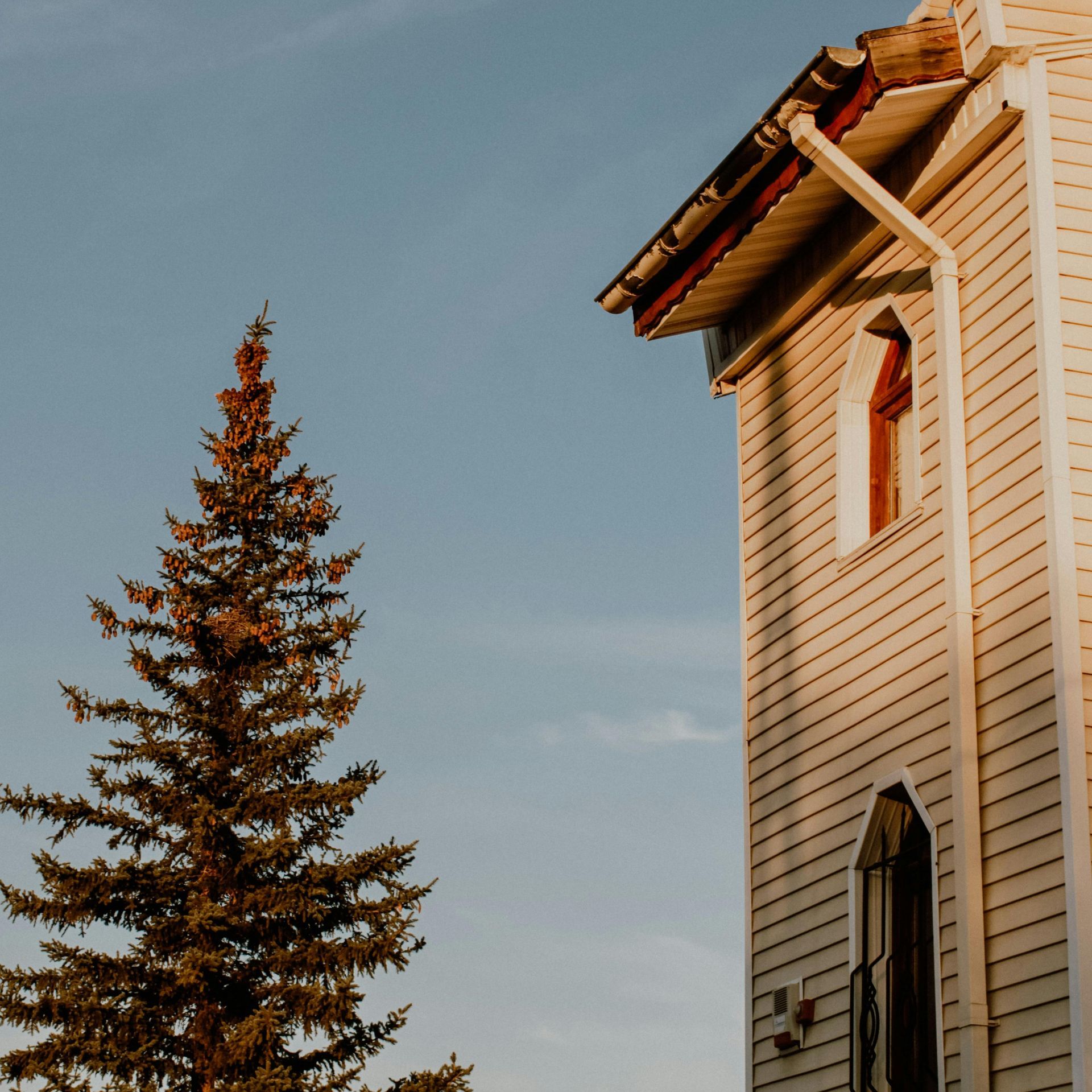 A tall evergreen tree next to a light-colored house with an arched window under a blue sky.